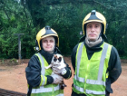 Bombeiros voluntários resgatam gato 