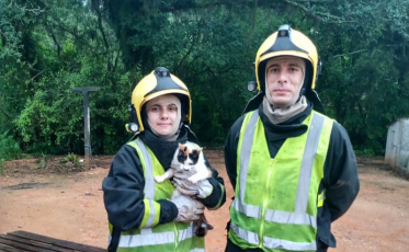 Bombeiros voluntários resgatam gato 