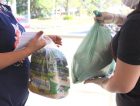 Famílias são beneficiadas com mais 8,9 mil kits de alimentação escolar