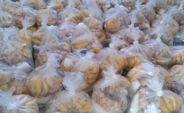 Alunos de Nova Veneza recebem kit emergencial de alimentação