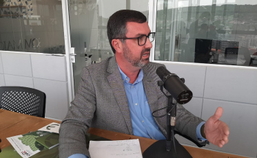 Como funcionam os leilões 