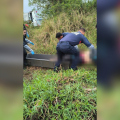 Homem é encontrado morto em rio próximo à BR-101, em Treze de Maio