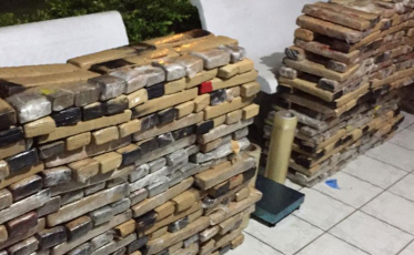 Polícia apreende 396 kg de maconha