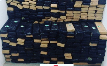 Polícia apreende mais de meia tonelada de maconha no Sul do estado (VÍDEO)