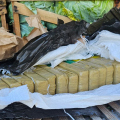Carga de repolho escondia quase 2,5 toneladas de maconha em SC