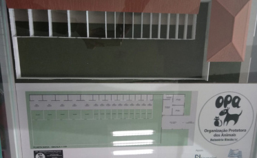 OPA precisa de doações para construção de abrigo de animais