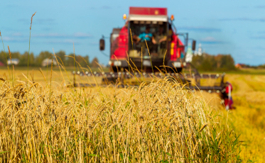 Retrospectiva: Um ano desafiador para a agricultura catarinense 