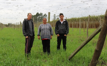 Maracujá, alternativa de renda para associada à Cooperja