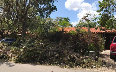 Criciumense fala sobre situação após passagem do Furação Irma