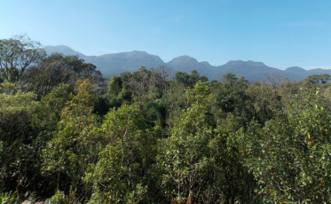 Operação Mata Atlântica em Pé: identificados 877 hectares de áreas de desmatamento ilegal em SC