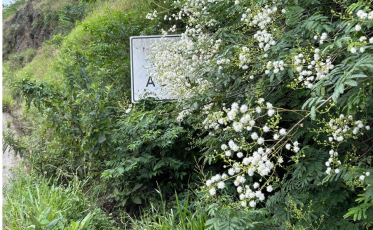 ((Áudio)) Obras da última etapa do Anel Viário seguem paralisadas