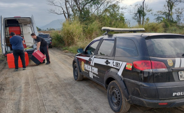 Polícia Civil investiga abandono e maus-tratos a 17 cães em Nova Veneza