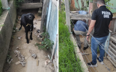 Polícia Civil resgata cão em Turvo