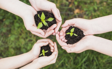 Fundaf lança desafios para contribuir com o Meio Ambiente em Forquilhinha