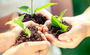 1º Encontro sobre Ecodesenvolvimento em Criciúma aconteceu na década de 1980