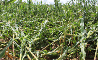 Depois dos temporais, Meleiro decreta situação de emergência