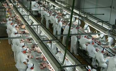 Santa Catarina comemora abertura do mercado indiano para a carne suína