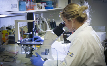 Ministério da Saúde financiará pesquisas em terapias avançadas