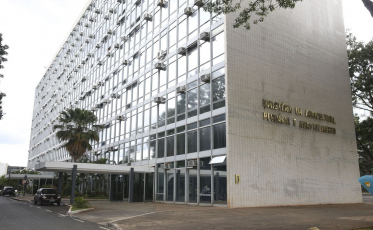 Brasil tem primeiro caso de influenza aviária em aves domésticas