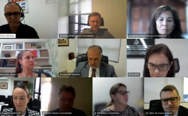 Um reforço para pagar 3,3 mil castrações de cães e gatos em SC