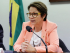 Não há notícia de falta de alimentos, diz ministra