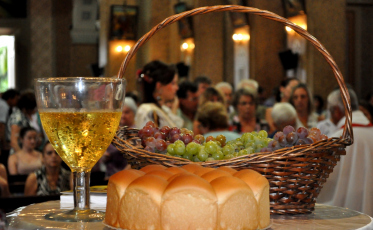 Vindima Goethe celebra amor pela terra e pela vinificação