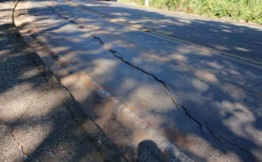 Defesa Civil de Criciúma remove árvore caída em pista do Morro Caravaggio 