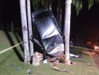 Motorista perde o controle e colide contra árvore