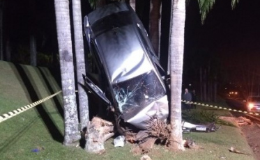 Motorista perde o controle e colide contra árvore