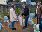 Içarenses recebem mudas frutíferas em campanha Viva Mais Saudável