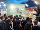Museu de Zoologia da Unesc celebra 20 anos com programação especial