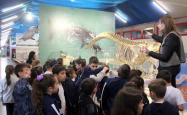Museu de Zoologia da Unesc celebra 20 anos com programação especial