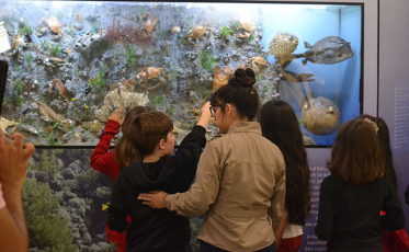 Museu de Zoologia da Unesc é sede do encontro estadual 