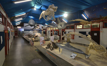 Espaço para ideias e aprendizados no Museu da Unesc