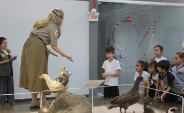 Novos vídeos educativos são presentes do Museu de Zoologia da Unesc