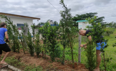 Diretoria do Caravaggio realiza mutirão de limpeza na Montanha
