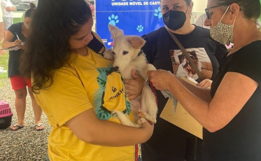 Em mutirões, Forquilhinha promove castração de mais de 600 animais