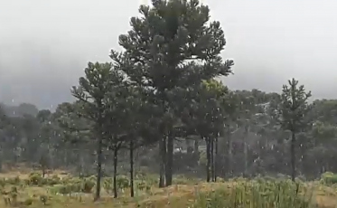 A neve chegou na Serra Catarinense (VÍDEO)