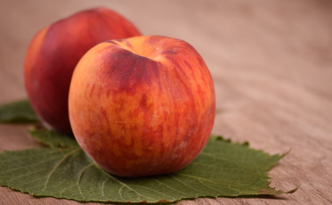 Criciúma: 6ª edição da Conferência Municipal de Segurança Alimentar e Nutricional acontece nesta quarta-feira