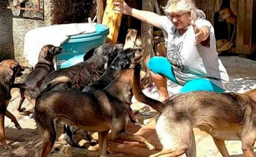 ONG de Criciúma precisa de doação de alimentos 