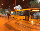 Linhas de ônibus especiais para as eleições