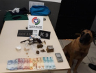 Cachorro da Polícia Militar ajuda a localizar arma, drogas e dinheiro