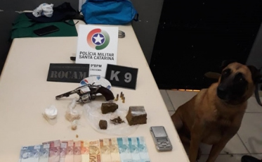 Cachorro da Polícia Militar ajuda a localizar arma, drogas e dinheiro