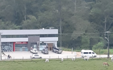 Cinco integrantes da quadrilha que vendia carne de cavalo para consumo humano são presos  (FOTOS)