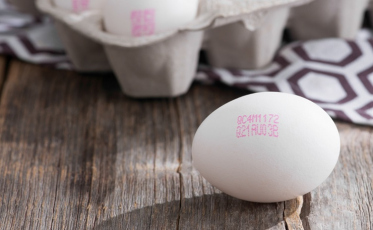 DEIXA ASSIM... Mapa revoga obrigação de carimbo em ovos