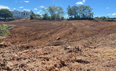 Parque da Santa Luzia passa por limpeza