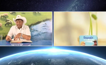 Covid-19: Vídeos da cura com grão de feijão devem sair do YouTube