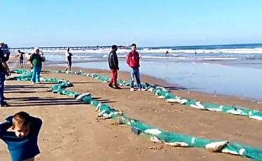 Pesca da tainha movimenta Balneário Rincão