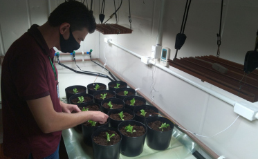 Pesquisa promove testes de fertilizante híbrido em ambiente automatizado