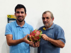 Agricultor de Jacinto Machado colhe pitaya gigante